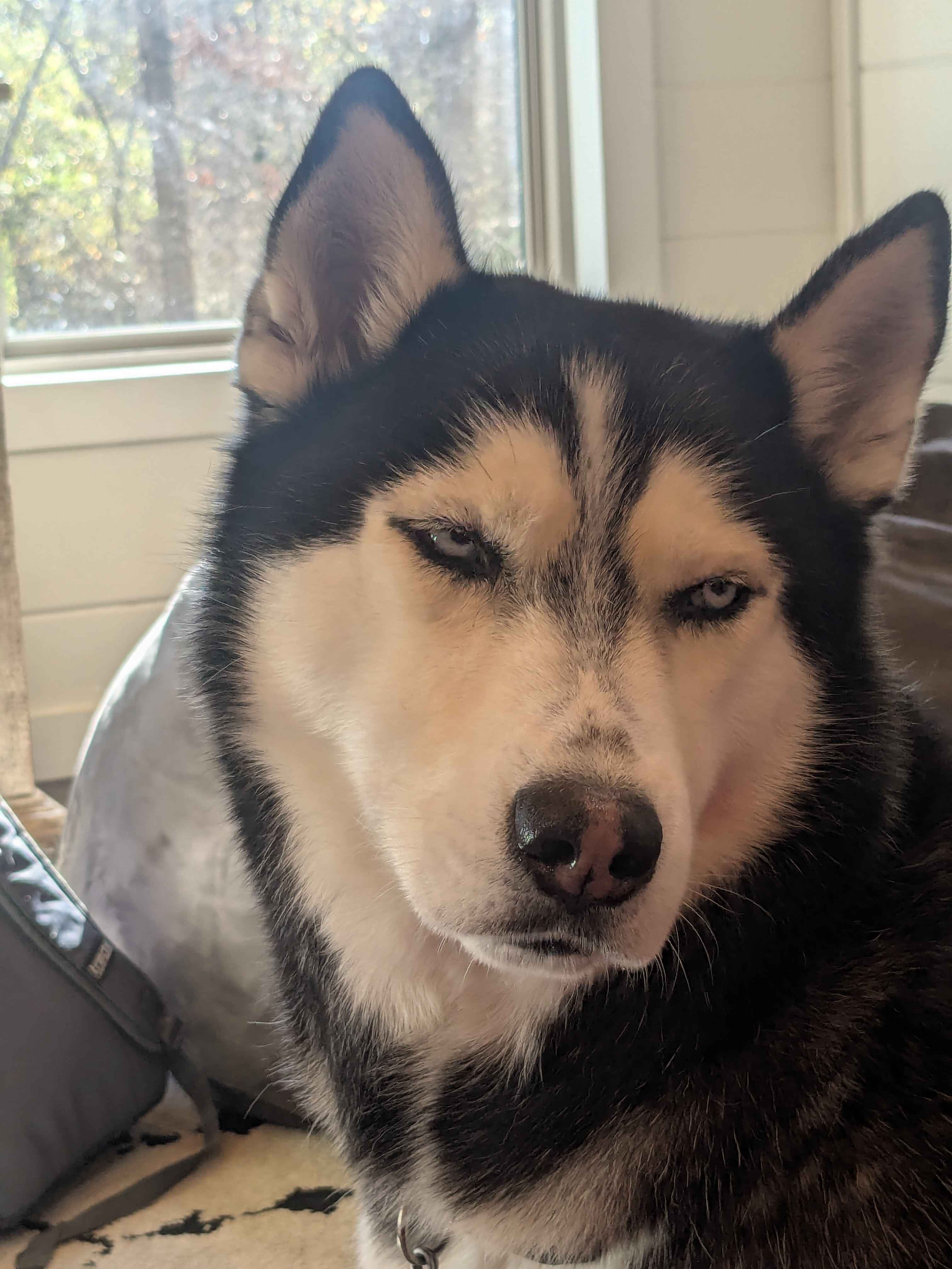 Site hosted by Neocities